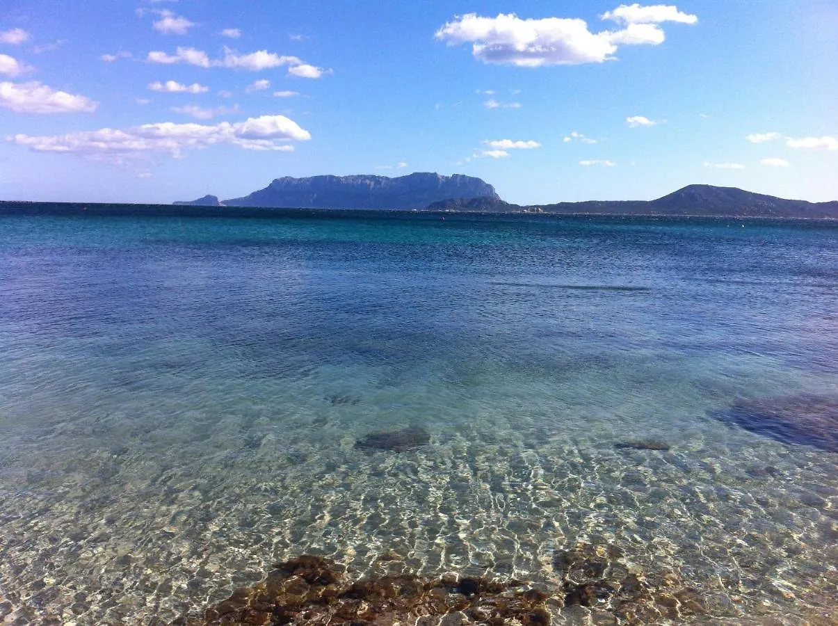 Olbia Center City Apartment